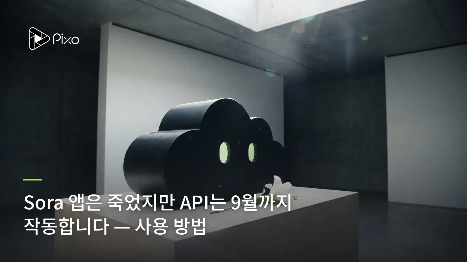 Sora 앱은 죽었지만 API는 9월까지 작동합니다 — 사용 방법